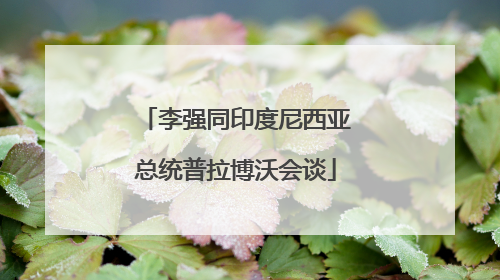 李强同印度尼西亚总统普拉博沃会谈