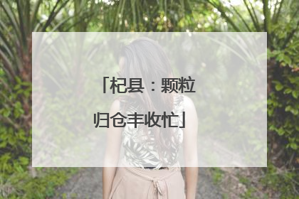 杞县：颗粒归仓丰收忙