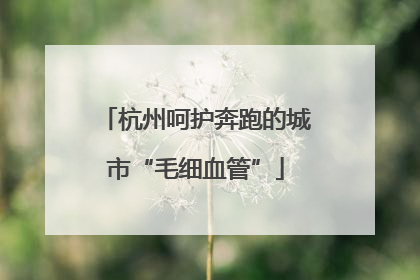杭州呵护奔跑的城市“毛细血管”
