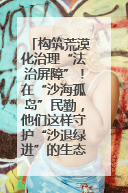 构筑荒漠化治理“法治屏障”！在“沙海孤岛”民勤，他们这样守护“沙退绿进”的生态奇迹