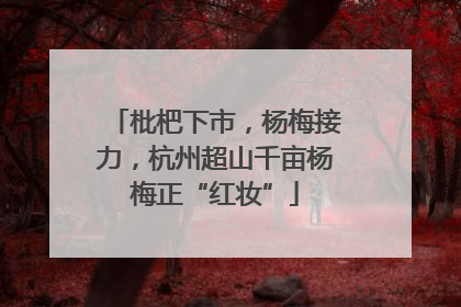 枇杷下市，杨梅接力，杭州超山千亩杨梅正“红妆”