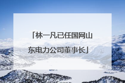 林一凡已任国网山东电力公司董事长