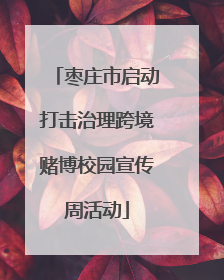 枣庄市启动打击治理跨境赌博校园宣传周活动