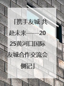 携手友城 共赴未来——2025黄河口国际友城合作交流会侧记