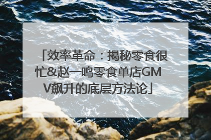 效率革命：揭秘零食很忙&赵一鸣零食单店GMV飙升的底层方法论