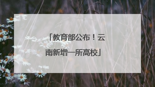 教育部公布！云南新增一所高校