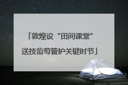 敦煌设“田间课堂” 送技葡萄管护关键时节
