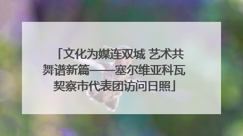 文化为媒连双城 艺术共舞谱新篇——塞尔维亚科瓦契察市代表团访问日照