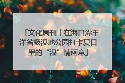 文化周刊丨在海口潭丰洋省级湿地公园打卡夏日里的“湿”情画意