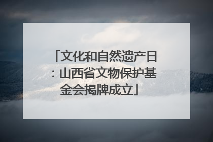 文化和自然遗产日：山西省文物保护基金会揭牌成立