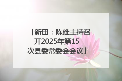 新田：陈雄主持召开2025年第15次县委常委会会议