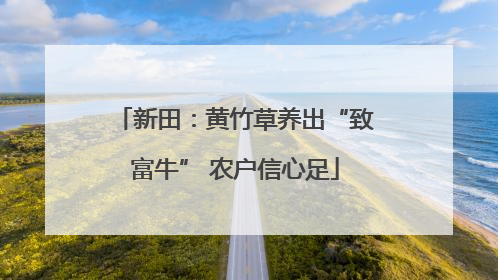 新田：黄竹草养出“致富牛” 农户信心足