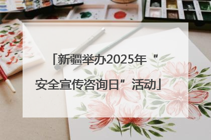 新疆举办2025年“安全宣传咨询日”活动