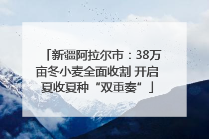 新疆阿拉尔市：38万亩冬小麦全面收割 开启夏收夏种“双重奏”