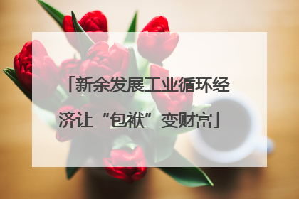 新余发展工业循环经济让“包袱”变财富