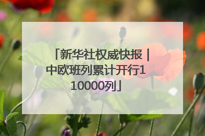 新华社权威快报｜中欧班列累计开行110000列