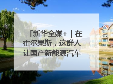 新华全媒+｜在霍尔果斯，这群人让国产新能源汽车“跑”向中亚