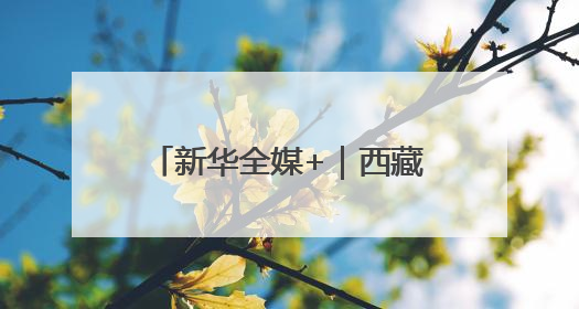 新华全媒+｜西藏：黑颈鹤家族高原湿地喜添“萌宝”