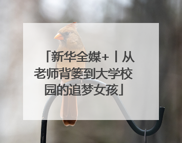 新华全媒+丨从老师背篓到大学校园的追梦女孩