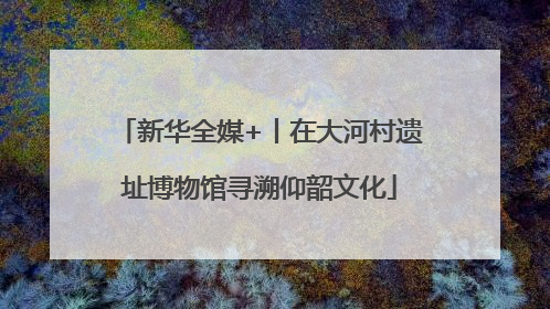 新华全媒+丨在大河村遗址博物馆寻溯仰韶文化