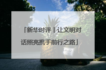 新华时评丨让文明对话照亮携手前行之路