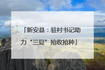 新安县：驻村书记助力“三夏”抢收抢种