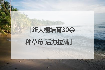 新大棚培育30余种草莓 活力拉满