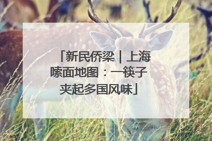 新民侨梁｜上海嗦面地图：一筷子夹起多国风味