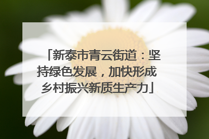 新泰市青云街道：坚持绿色发展，加快形成乡村振兴新质生产力
