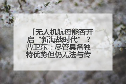无人机航母能否开启“新海战时代”？曹卫东：尽管具备独特优势但仍无法与传统航母相提并论