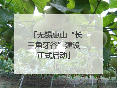 无锡惠山“长三角牙谷”建设正式启动