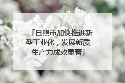 日照市加快推进新型工业化，发展新质生产力成效显著
