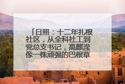 日照：十二年扎根社区，从全科社工到党总支书记，高麒滢像一株顽强的巴根草，把根深深扎进基层的土壤——“巴根草书记”的夏日叙事