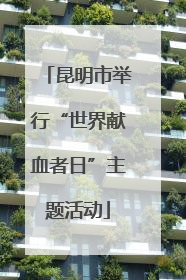 昆明市举行“世界献血者日”主题活动