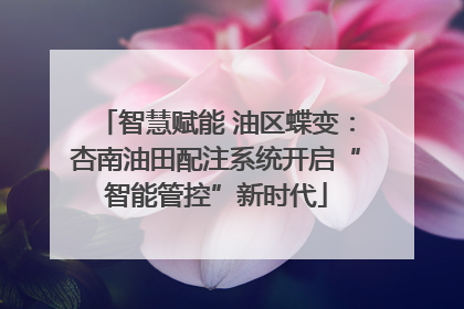 智慧赋能 油区蝶变：杏南油田配注系统开启“智能管控”新时代