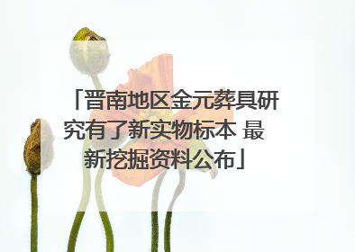 晋南地区金元葬具研究有了新实物标本 最新挖掘资料公布