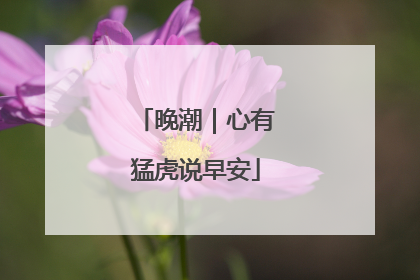 晚潮｜心有猛虎说早安