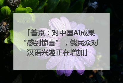 普京：对中国AI成果“感到惊喜”，俄民众对汉语兴趣正在增加
