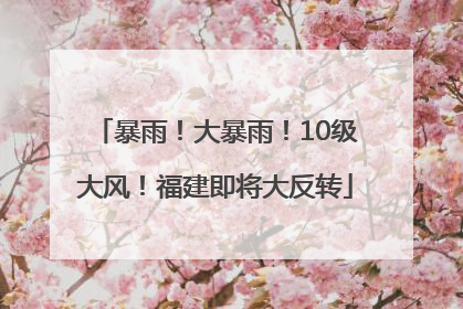 暴雨！大暴雨！10级大风！福建即将大反转