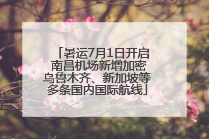 暑运7月1日开启 南昌机场新增加密乌鲁木齐、新加坡等多条国内国际航线