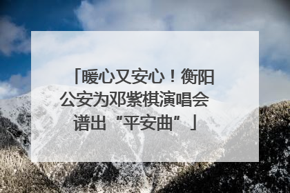 暖心又安心！衡阳公安为邓紫棋演唱会谱出“平安曲”