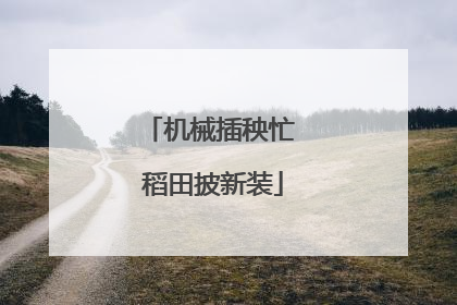 机械插秧忙 稻田披新装