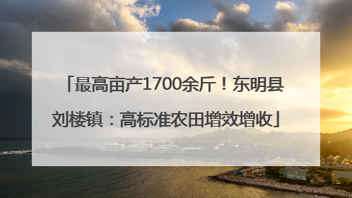 最高亩产1700余斤！东明县刘楼镇：高标准农田增效增收