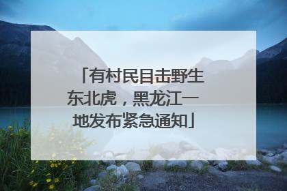 有村民目击野生东北虎，黑龙江一地发布紧急通知