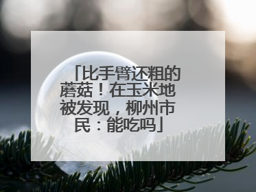 比手臂还粗的蘑菇！在玉米地被发现，柳州市民：能吃吗