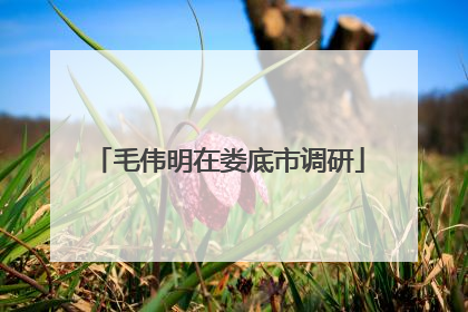 毛伟明在娄底市调研