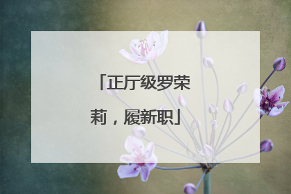 正厅级罗荣莉，履新职