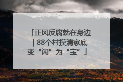 正风反腐就在身边｜88个村摸清家底变“闲”为“宝”