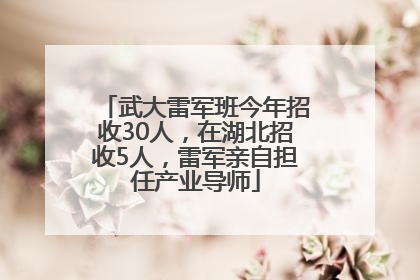 武大雷军班今年招收30人，在湖北招收5人，雷军亲自担任产业导师