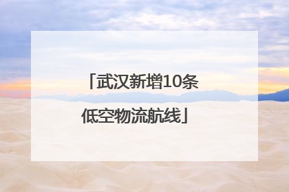 武汉新增10条低空物流航线